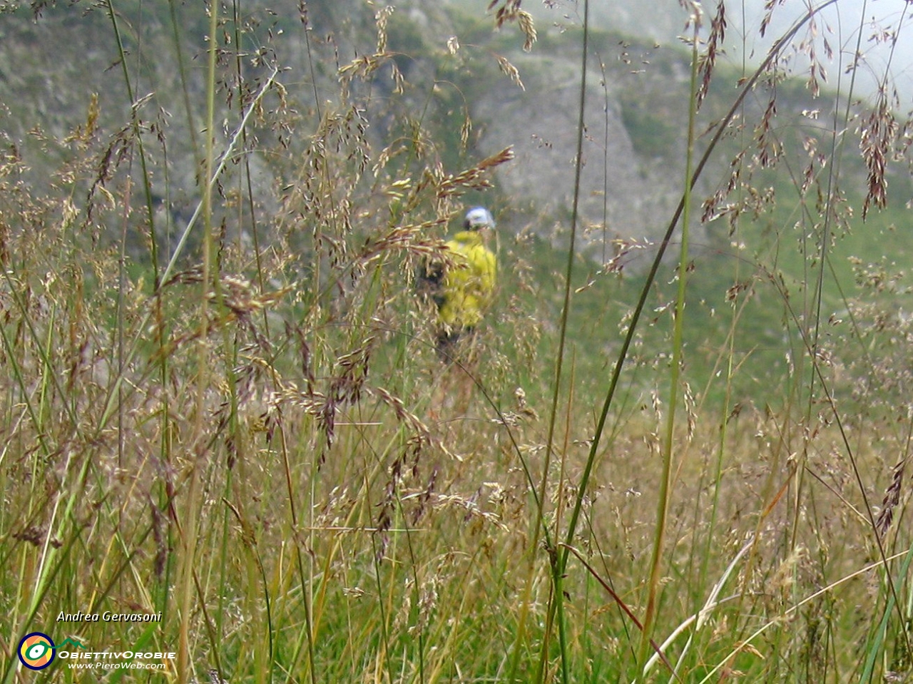 01 verso i laghi di Ponteranica.jpg